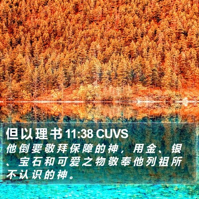 但 以 理 书 11:38 CUVS Bible Verse Image