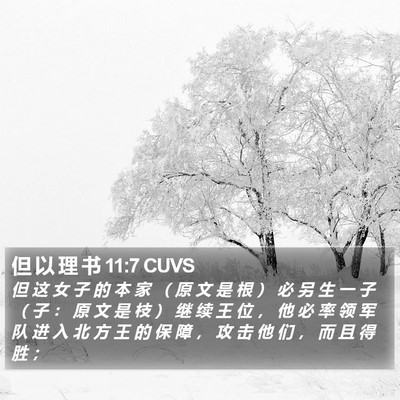 但 以 理 书 11:7 CUVS Bible Verse Image
