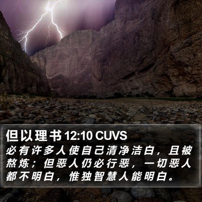 但 以 理 书 12:10 CUVS Bible Verse Image