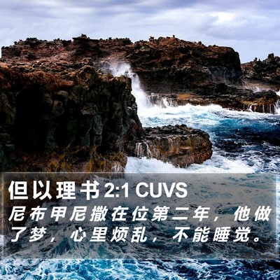 但 以 理 书 2:1 CUVS Bible Verse Image