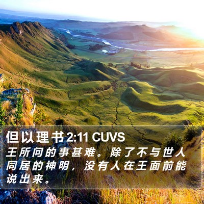 但 以 理 书 2:11 CUVS Bible Verse Image
