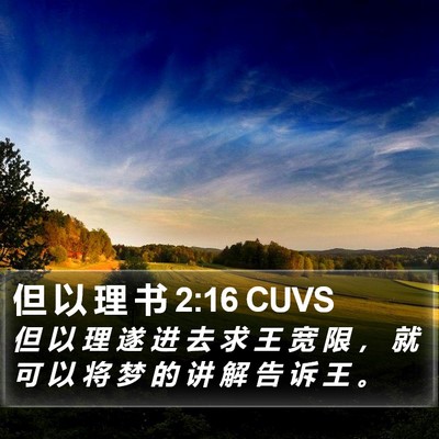 但 以 理 书 2:16 CUVS Bible Verse Image