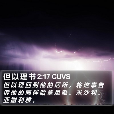 但 以 理 书 2:17 CUVS Bible Verse Image