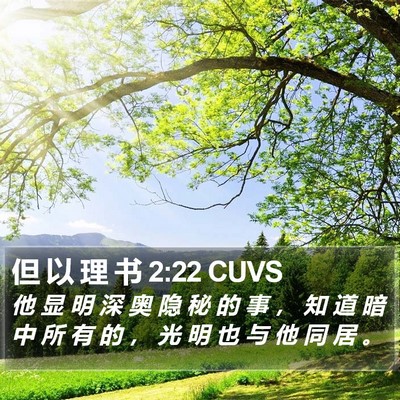 但 以 理 书 2:22 CUVS Bible Verse Image