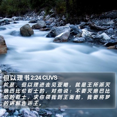 但 以 理 书 2:24 CUVS Bible Verse Image