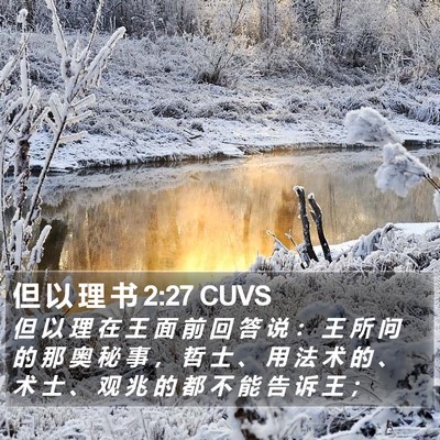 但 以 理 书 2:27 CUVS Bible Verse Image