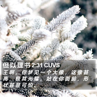 但 以 理 书 2:31 CUVS Bible Verse Image