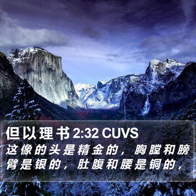 但 以 理 书 2:32 CUVS Bible Verse Image