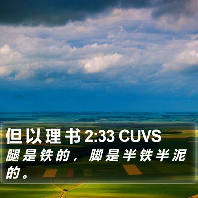 但 以 理 书 2:33 CUVS Bible Verse Image