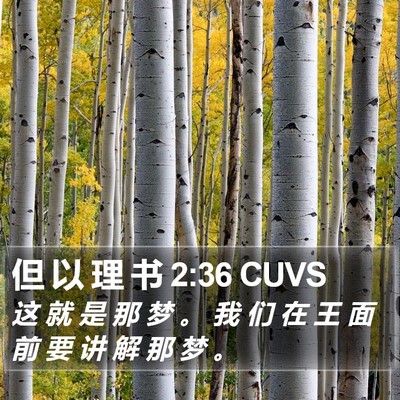 但 以 理 书 2:36 CUVS Bible Verse Image