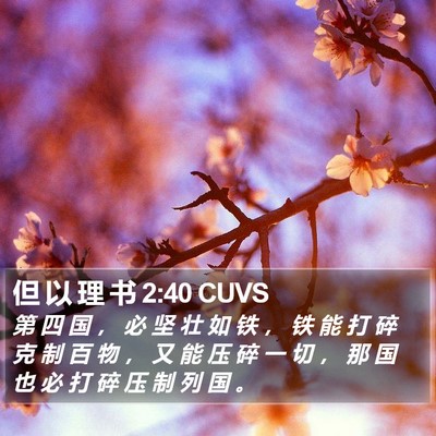 但 以 理 书 2:40 CUVS Bible Verse Image