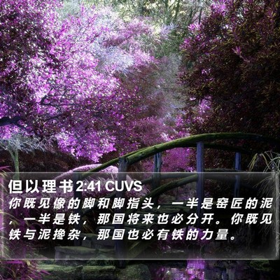 但 以 理 书 2:41 CUVS Bible Verse Image