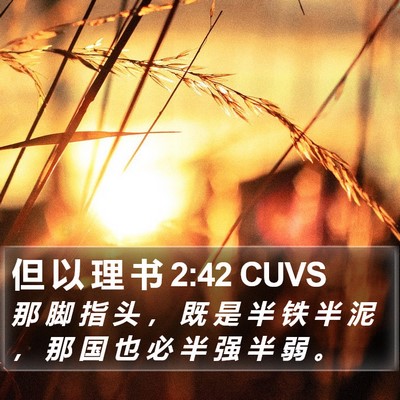 但 以 理 书 2:42 CUVS Bible Verse Image