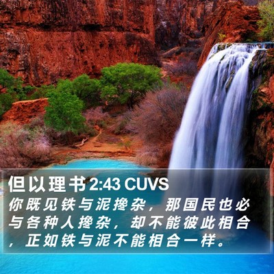但 以 理 书 2:43 CUVS Bible Verse Image