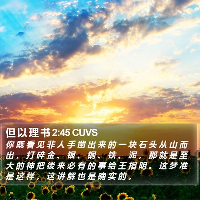 但 以 理 书 2:45 CUVS Bible Verse Image