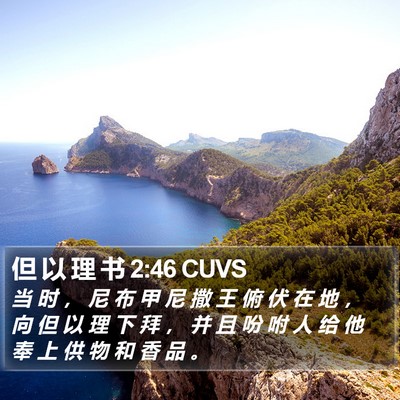 但 以 理 书 2:46 CUVS Bible Verse Image