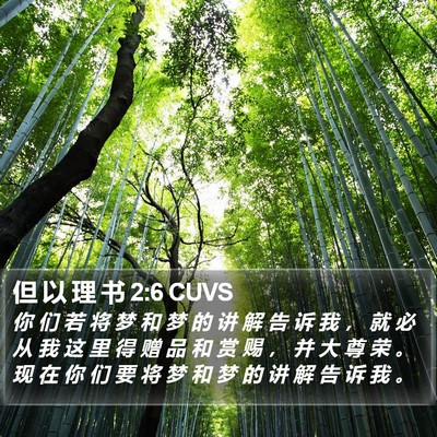 但 以 理 书 2:6 CUVS Bible Verse Image