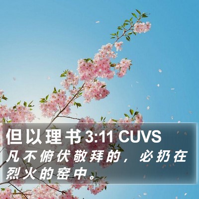 但 以 理 书 3:11 CUVS Bible Verse Image