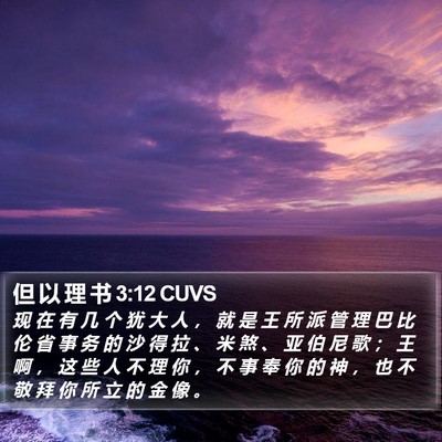 但 以 理 书 3:12 CUVS Bible Verse Image