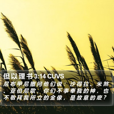 但 以 理 书 3:14 CUVS Bible Verse Image