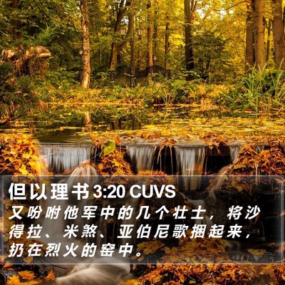 但 以 理 书 3:20 CUVS Bible Verse Image
