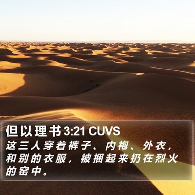 但 以 理 书 3:21 CUVS Bible Verse Image