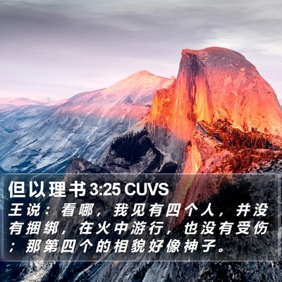 但 以 理 书 3:25 CUVS Bible Verse Image