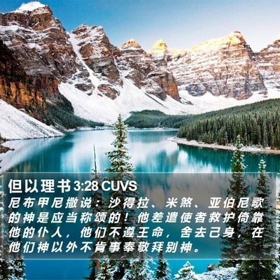 但 以 理 书 3:28 CUVS Bible Verse Image