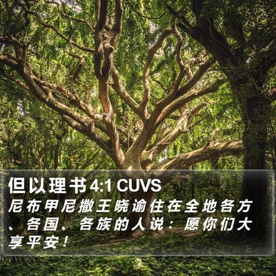 但 以 理 书 4:1 CUVS Bible Verse Image