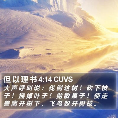 但 以 理 书 4:14 CUVS Bible Verse Image