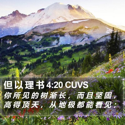 但 以 理 书 4:20 CUVS Bible Verse Image