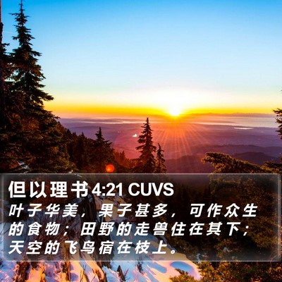 但 以 理 书 4:21 CUVS Bible Verse Image