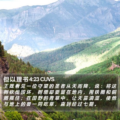 但 以 理 书 4:23 CUVS Bible Verse Image