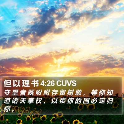 但 以 理 书 4:26 CUVS Bible Verse Image