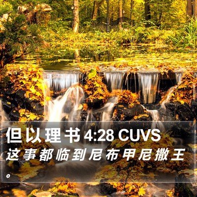 但 以 理 书 4:28 CUVS Bible Verse Image