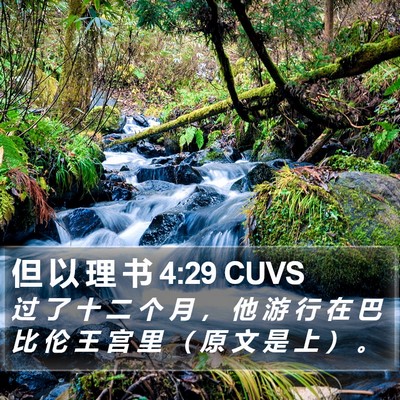 但 以 理 书 4:29 CUVS Bible Verse Image