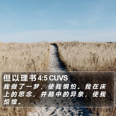 但 以 理 书 4:5 CUVS Bible Verse Image