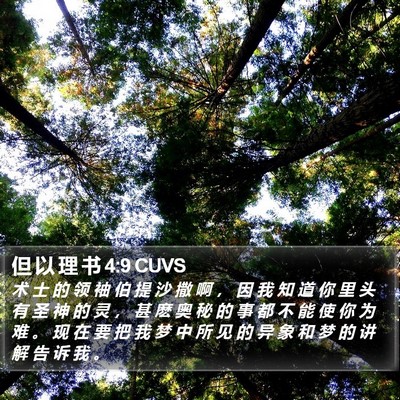 但 以 理 书 4:9 CUVS Bible Verse Image