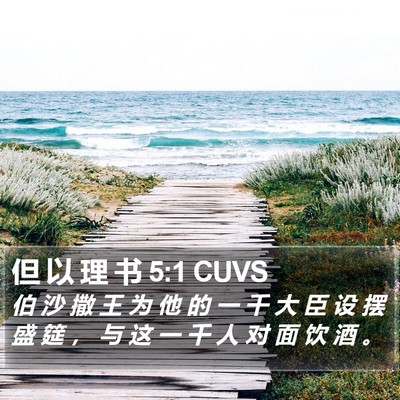 但 以 理 书 5:1 CUVS Bible Verse Image