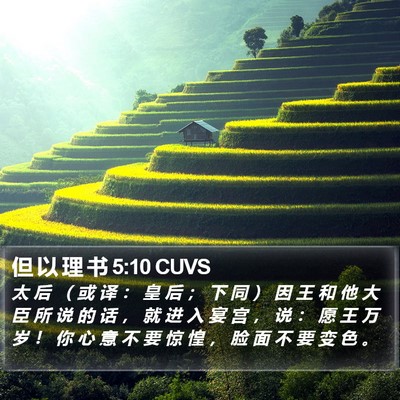 但 以 理 书 5:10 CUVS Bible Verse Image