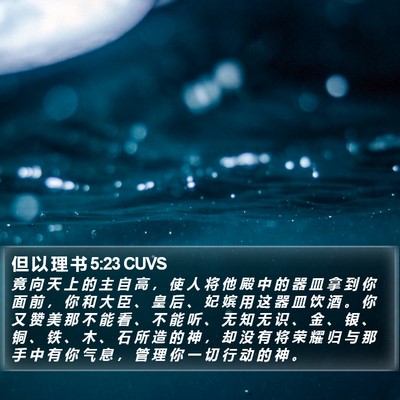 但 以 理 书 5:23 CUVS Bible Verse Image