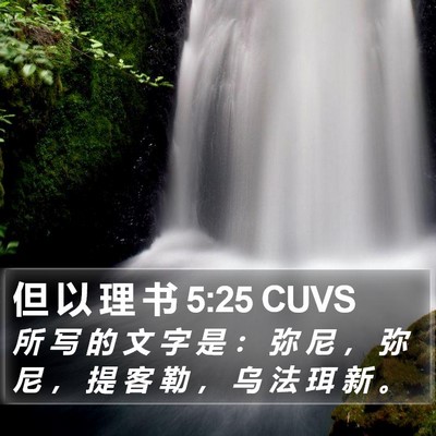 但 以 理 书 5:25 CUVS Bible Verse Image