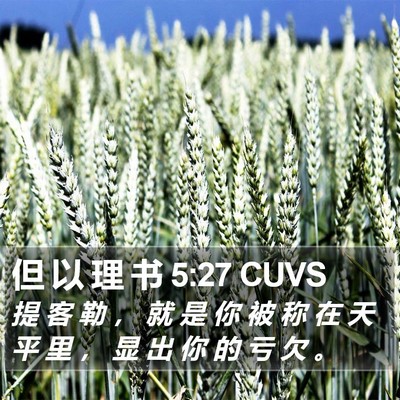 但 以 理 书 5:27 CUVS Bible Verse Image
