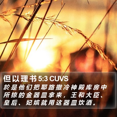 但 以 理 书 5:3 CUVS Bible Verse Image