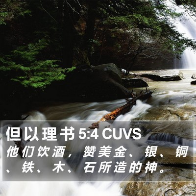 但 以 理 书 5:4 CUVS Bible Verse Image