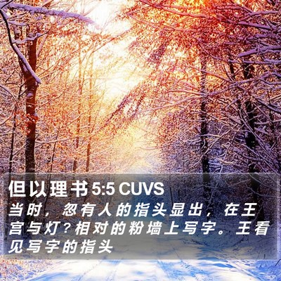 但 以 理 书 5:5 CUVS Bible Verse Image