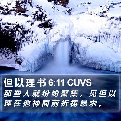 但 以 理 书 6:11 CUVS Bible Verse Image