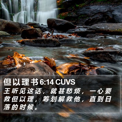 但 以 理 书 6:14 CUVS Bible Verse Image