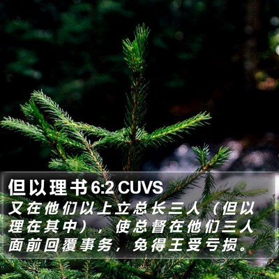 但 以 理 书 6:2 CUVS Bible Verse Image