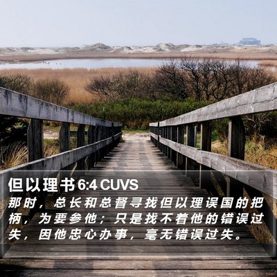 但 以 理 书 6:4 CUVS Bible Verse Image